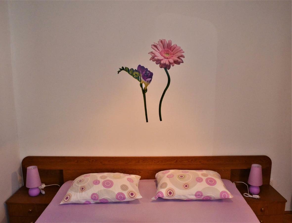 Apartman Rosa Pirovac Dış mekan fotoğraf